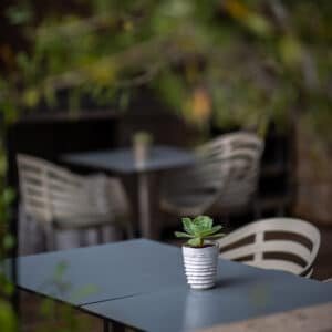 white and green striped ceramic mug on table